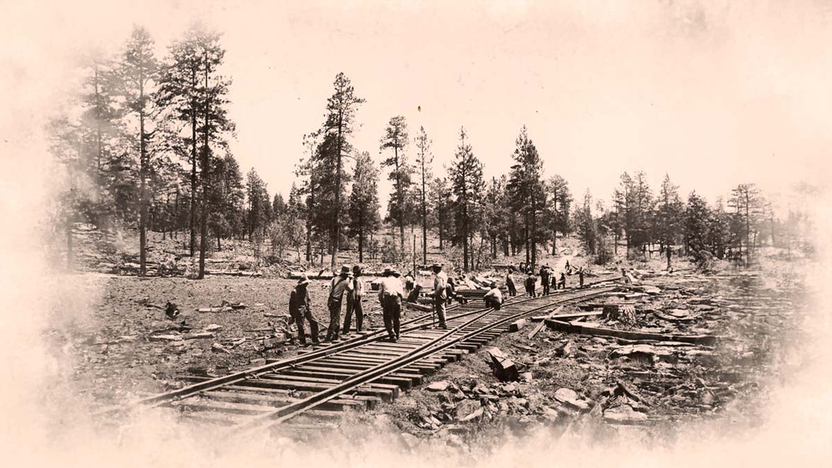Rail workers laying new track through a pine forest in northern Arizona, circa 1914.
